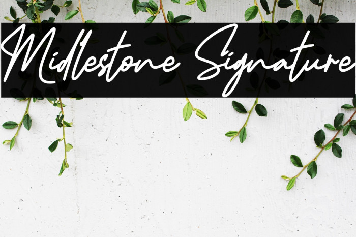 Midlestone Signature Example 3
