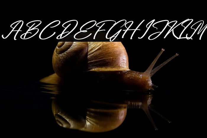 Midletton Blenda Italic Example 1