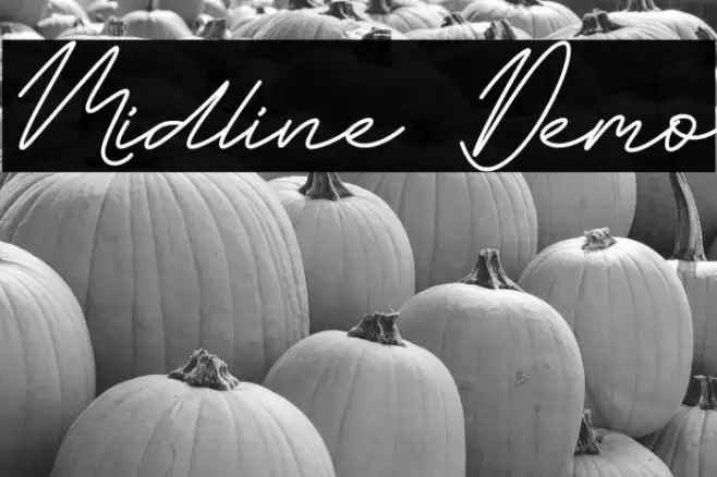 Midline Demo Schriftart examples