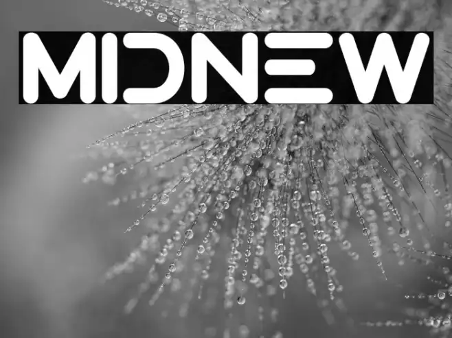 Midnew Example 3
