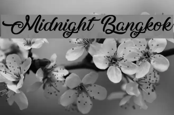Midnight Bangkok Font examples