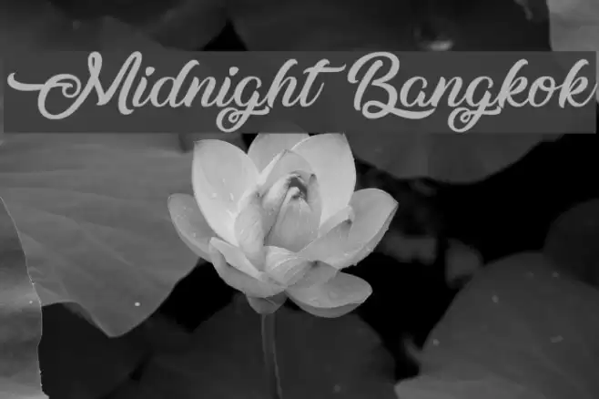 Midnight Bangkok Font examples