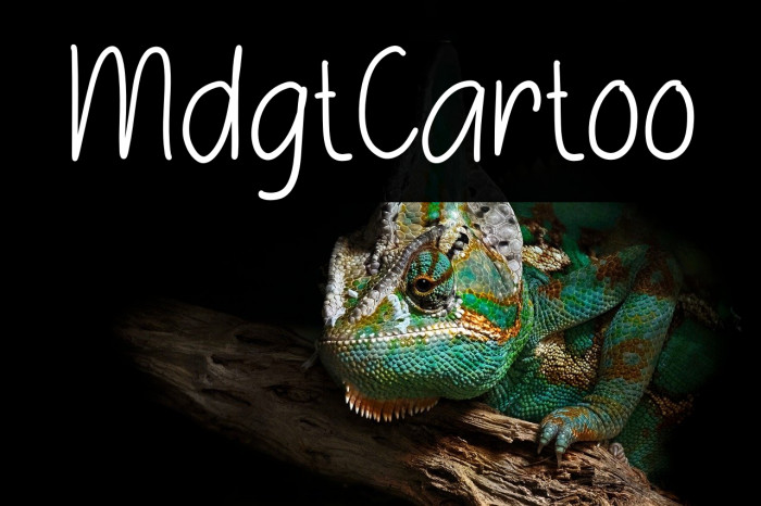 Midnight Cartoon Example 1