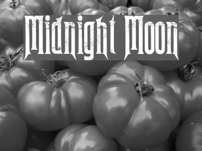 Midnight Moon Font examples