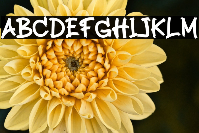 Midnight Shadows Example 1