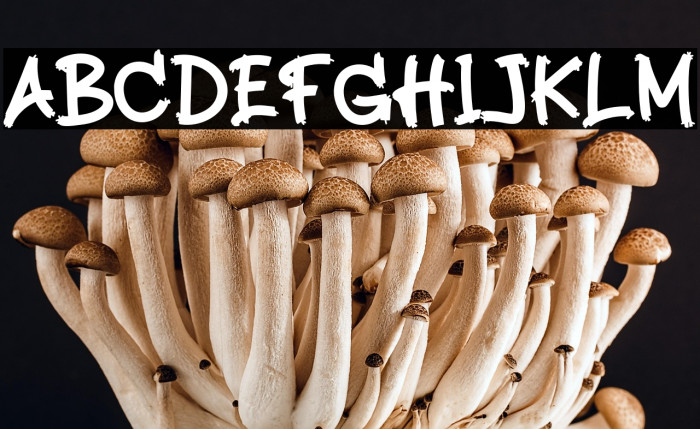 Midnight Shadows Example 2