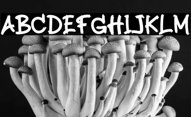 Midnight Shadows Font examples