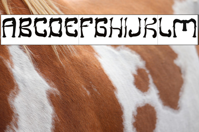 Midnight Show-Inverse Example 1