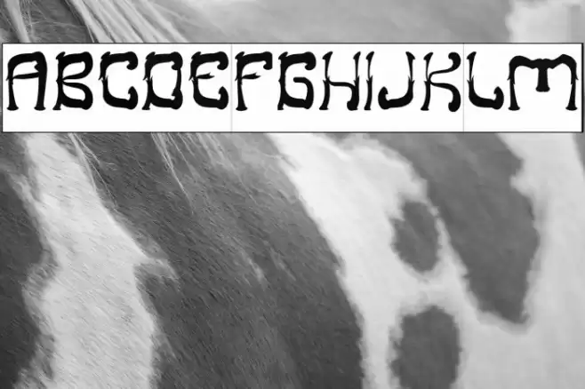 Midnight Show-Inverse Font examples