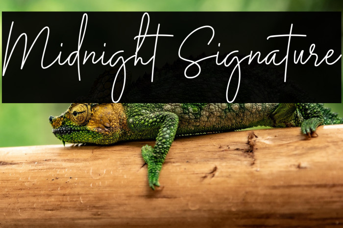 Midnight Signature Example 3