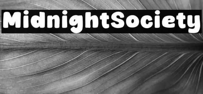 Midnight Society Example 3