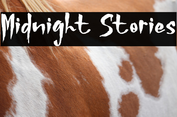 Midnight Stories Example 1