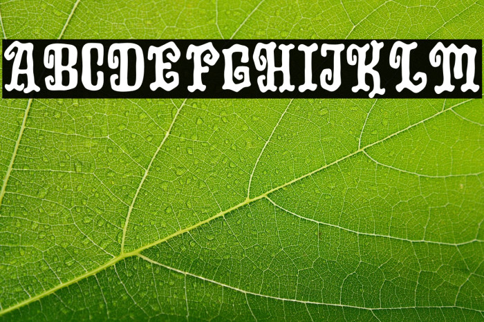 Midnight Story Example 2