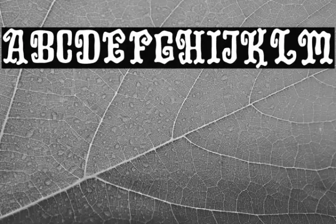 Midnight Story Font examples