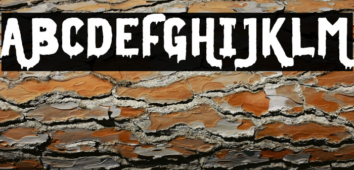 Midnight Union Regular Example 1