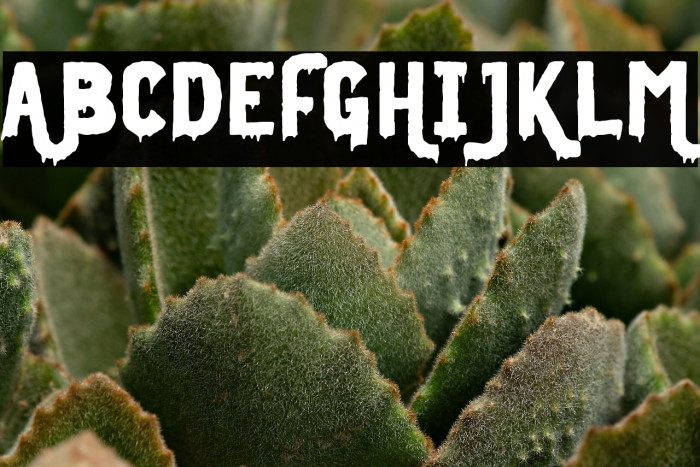 Midnight Union Regular Example 2