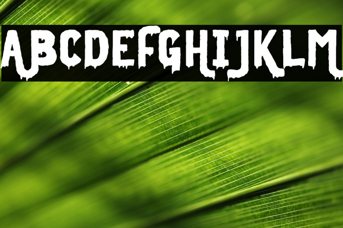 Midnight Union Regular Example 3