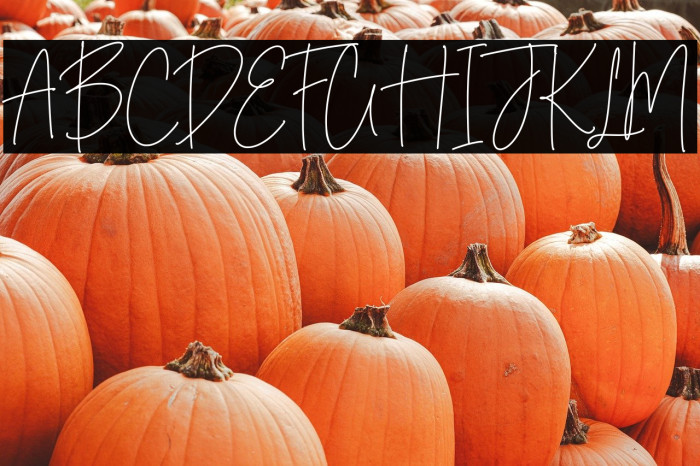 Midnight Wonders Example 2