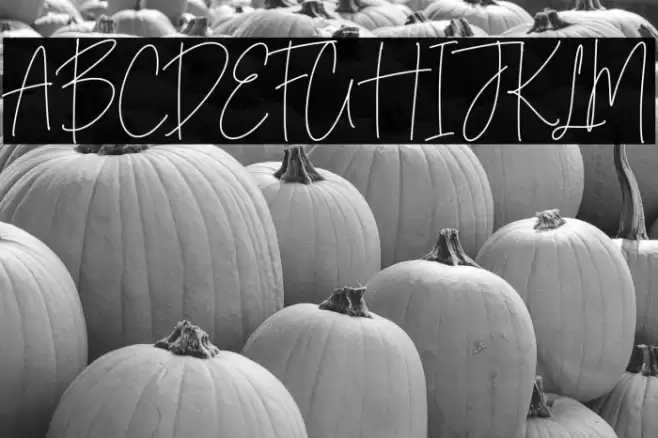 Midnight Wonders  examples