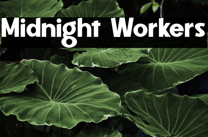 Midnight Workers Example 1