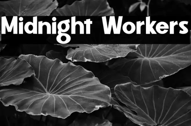 Midnight Workers Example 1