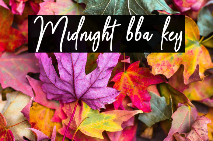 Midnight bba key Example 1