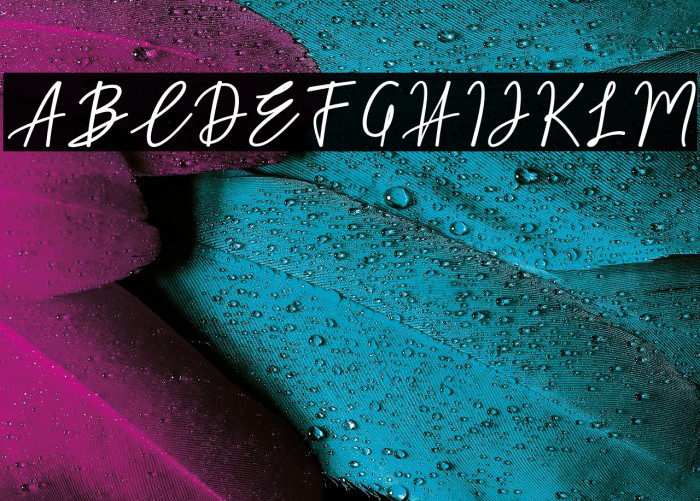 Midnight-bbakey Example 1