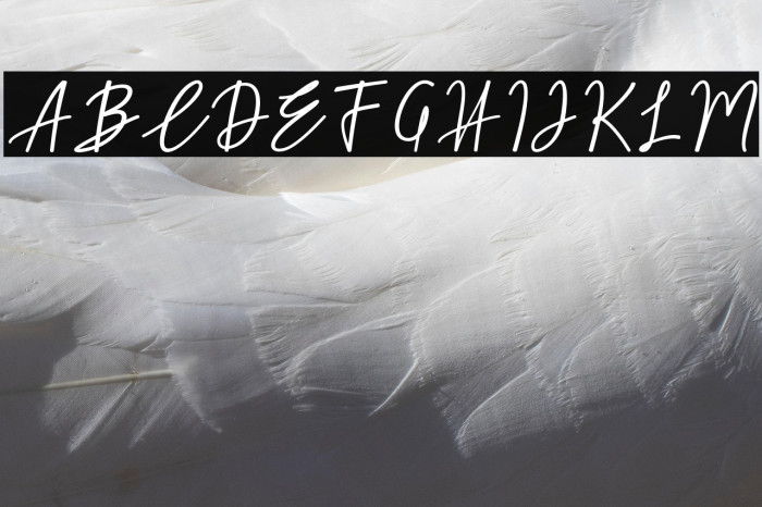 Midnight-bbakey Example 2