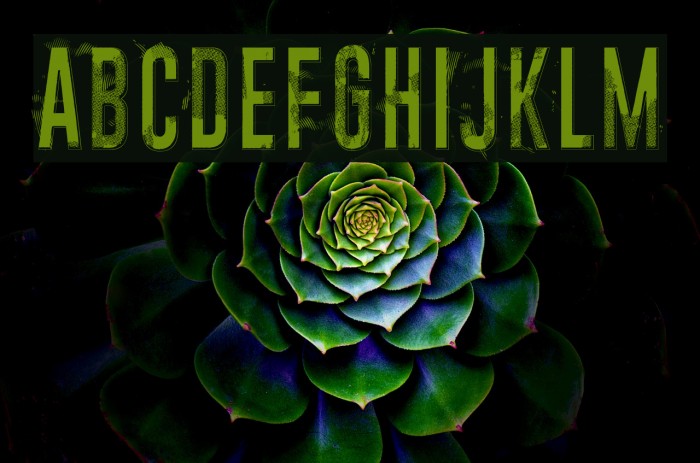 Midnight crimson Example 1