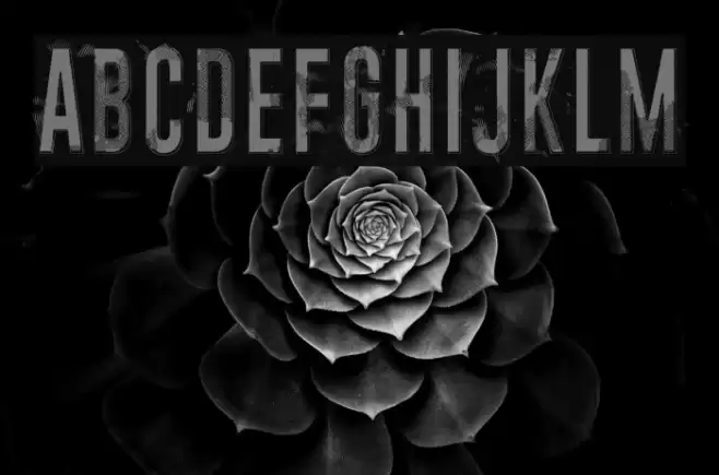 Midnight crimson Font examples