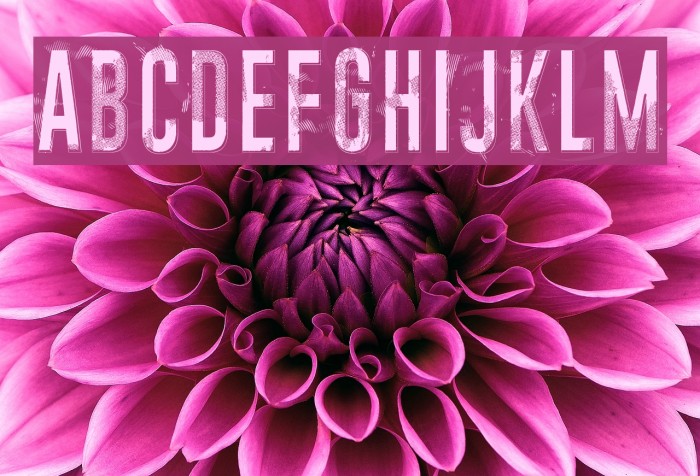 Midnight crimson Example 2