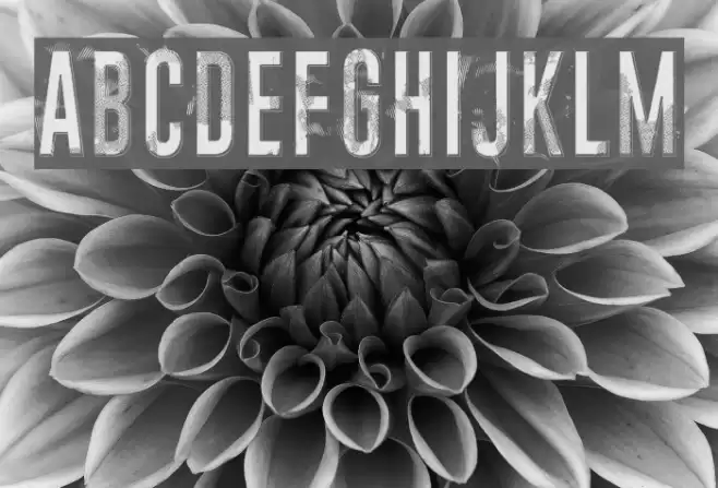 Midnight crimson Font examples