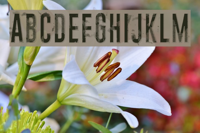 Midnight crimson Example 3