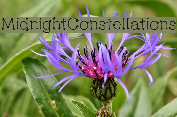 MidnightConstellations Font examples