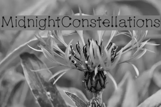 MidnightConstellations examples