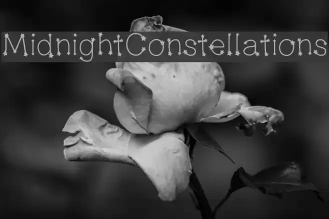 MidnightConstellations examples