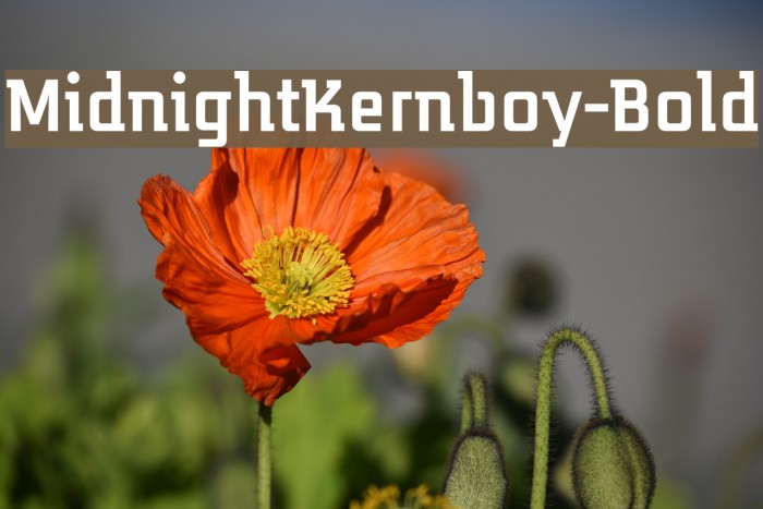 MidnightKernboy-Bold Font examples