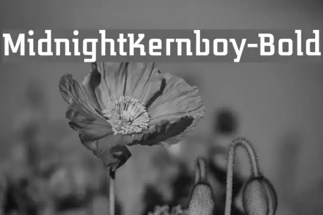 MidnightKernboy-Bold Example 2
