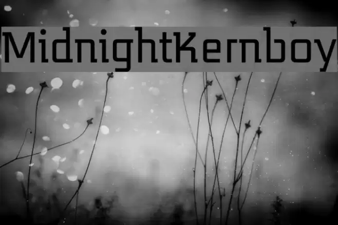 MidnightKernboy Шрифта examples