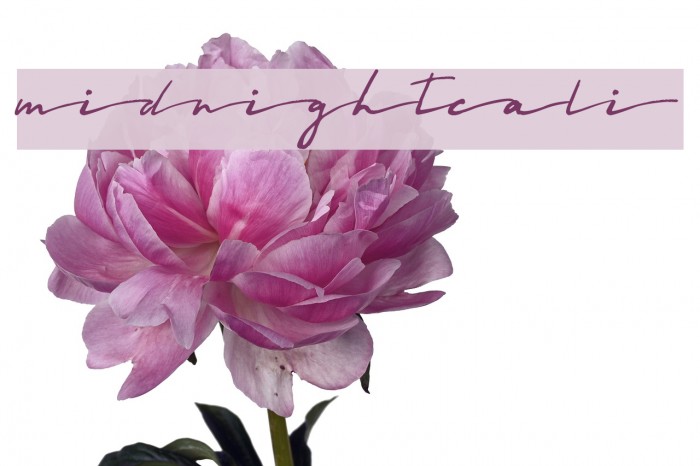 Midnightcali Font examples