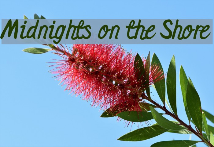 Midnights on the Shore Font examples