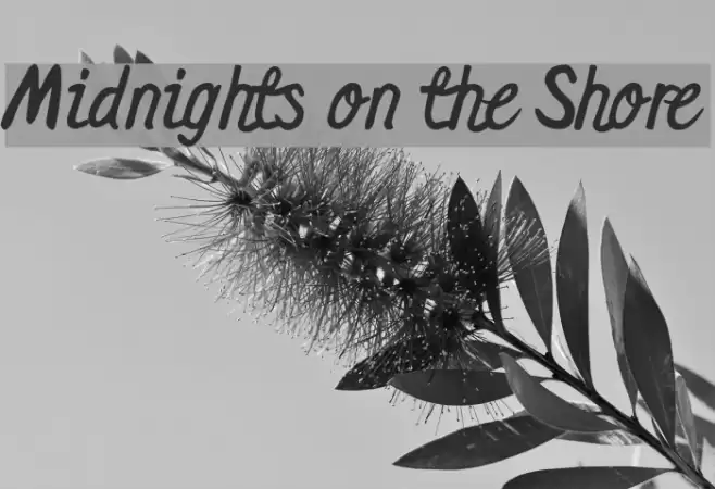 Midnights on the Shore Schriftart examples