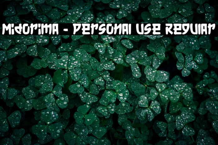 Midorima - Personal Use Regular Example 1