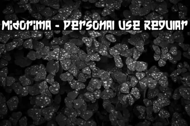 Midorima - Personal Use Regular Font examples