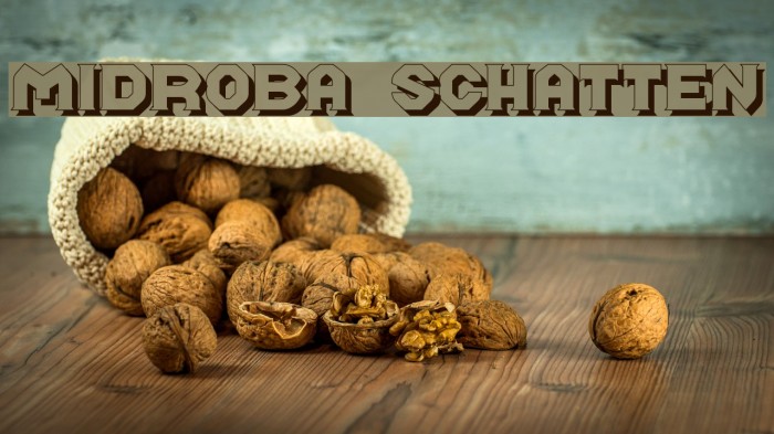 Midroba Schatten Font examples