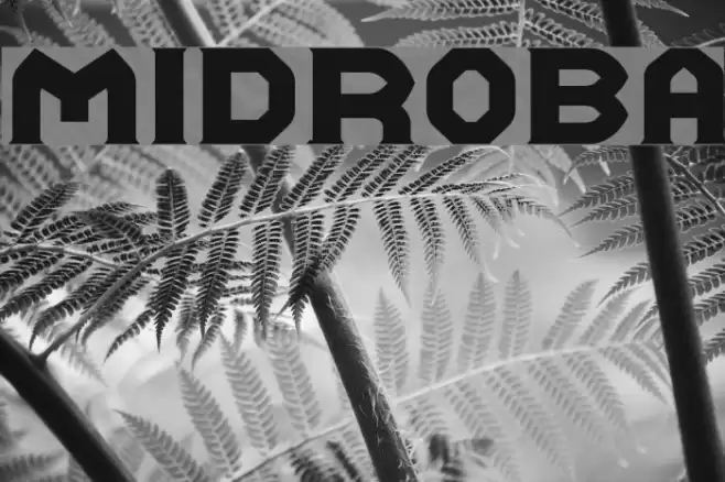 Midroba フォント examples