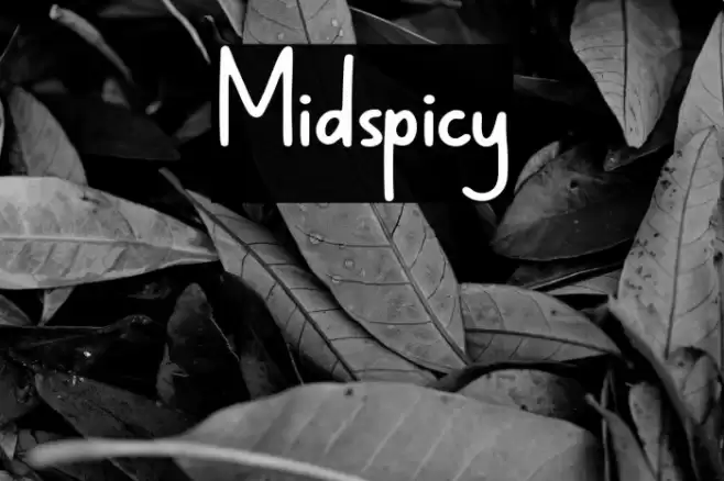 Midspicy Font examples