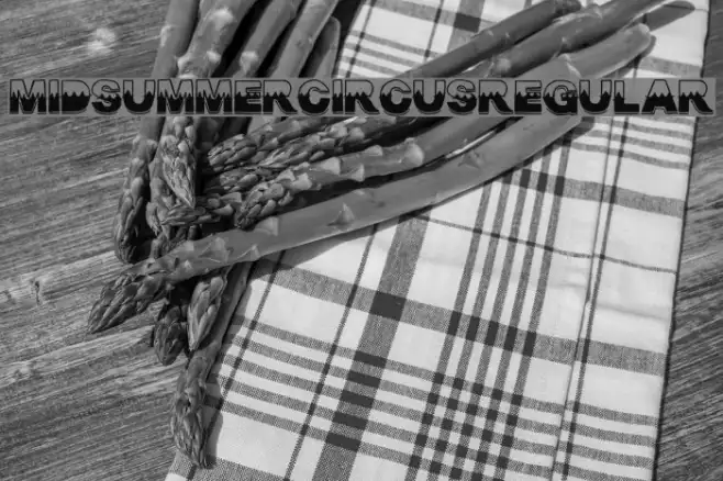 MidsummerCircus-Regular Example 2