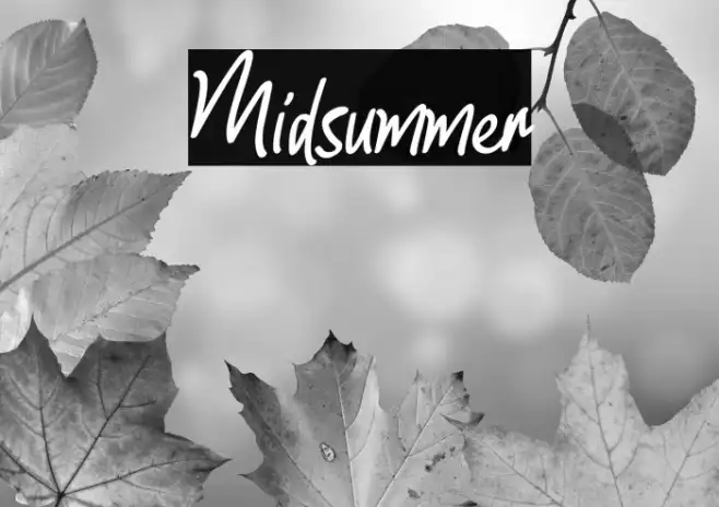 Midsummer Example 2
