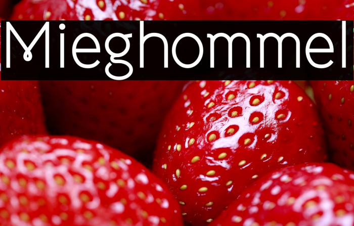 Mieghommel Example 1